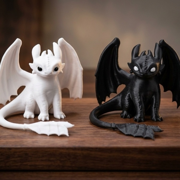 Black And White Dragon Duo